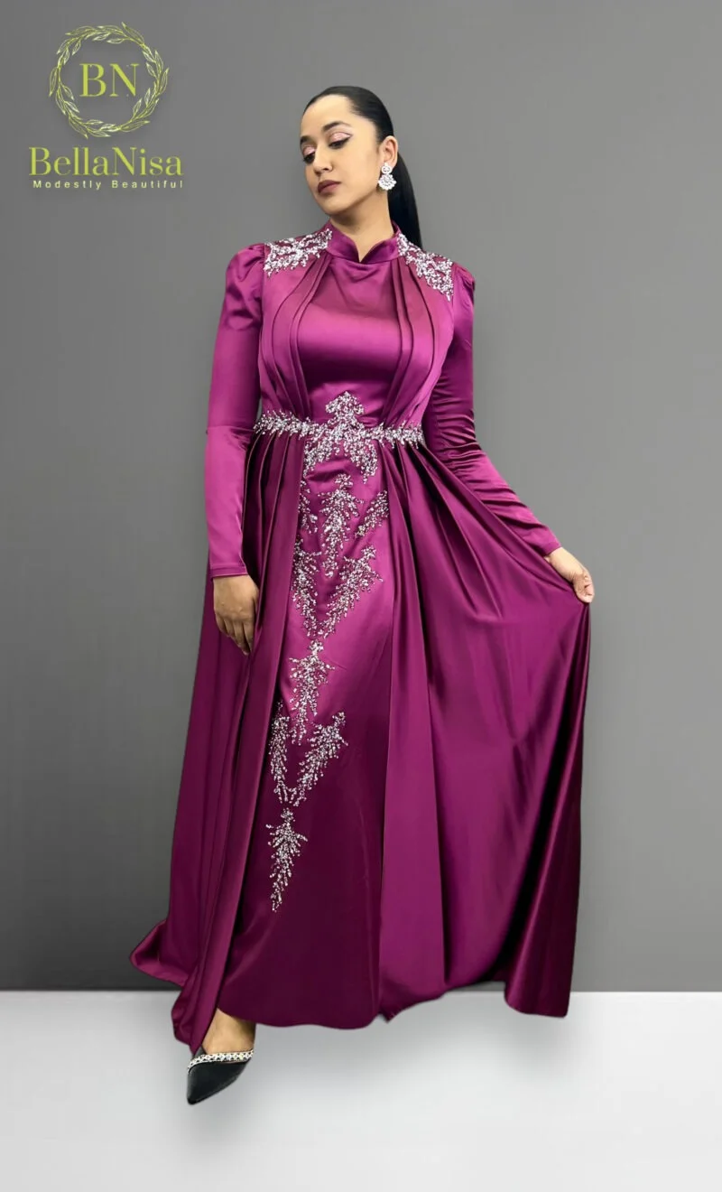 Afreen Gown - Image 4